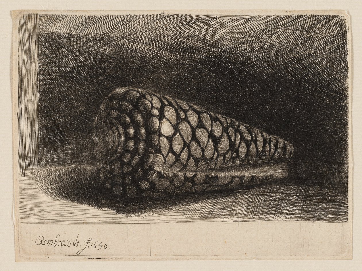 Skalet av Rembrandt van Rijn