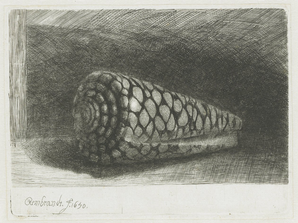Skalet av Rembrandt van Rijn
