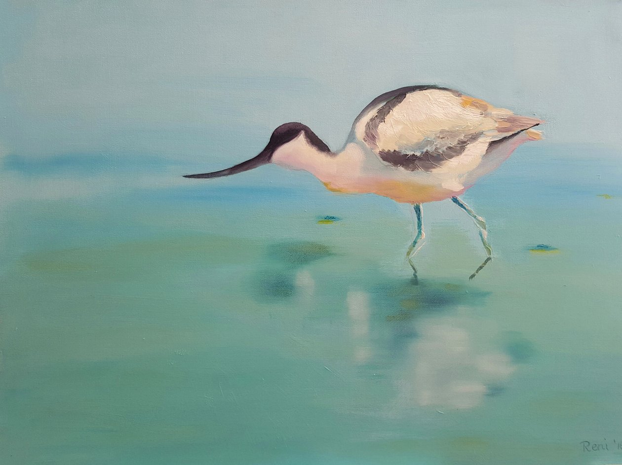 Avocets av Renate Dohr
