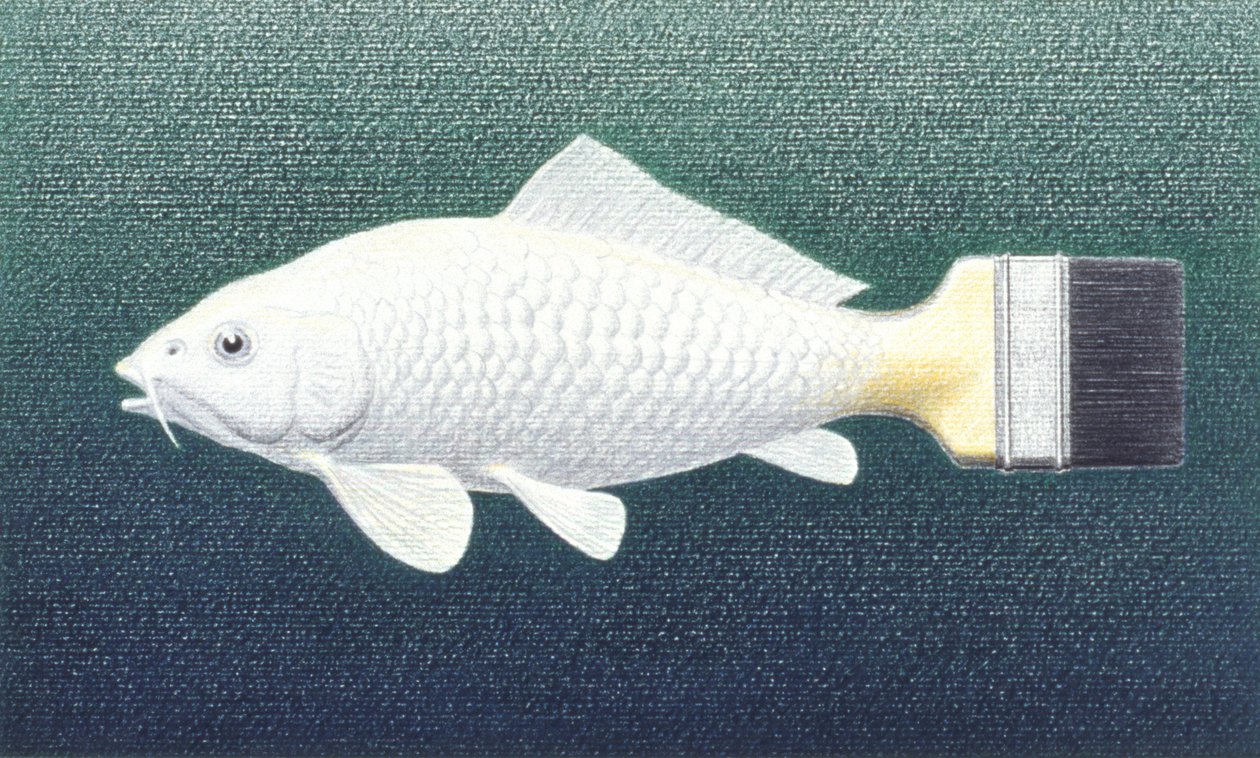 Brushfish, 2003, teckning med färgpenna på papper av Rene Boin