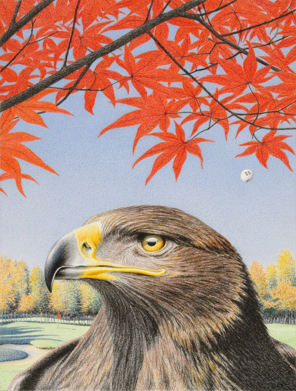 Eagle, 2015, teckning med färgpenna på papper av Rene Boin