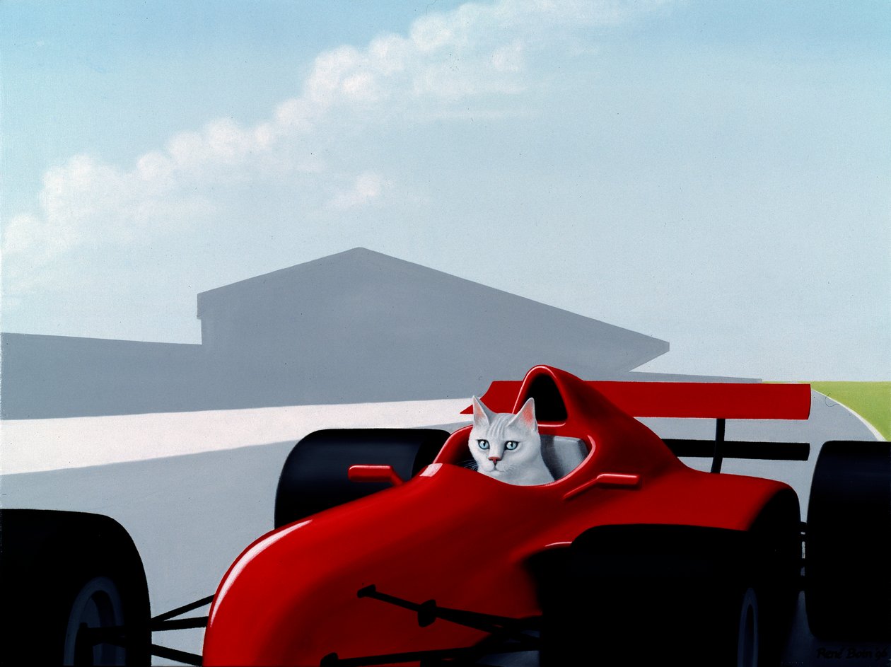 Formel 1 katt av Rene Boin