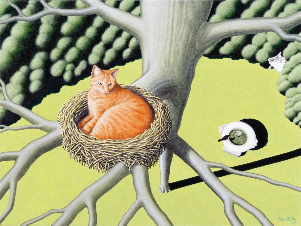 Nest av Rene Boin
