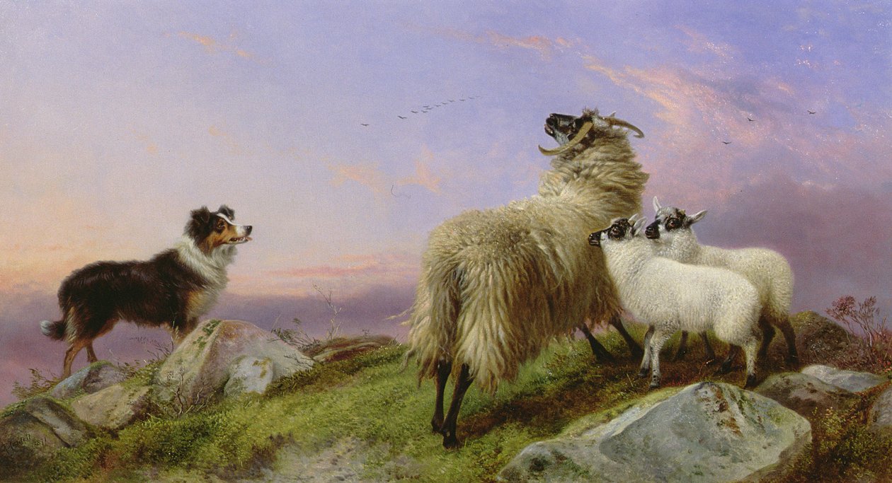 Collie, tacka och lamm av Richard Ansdell