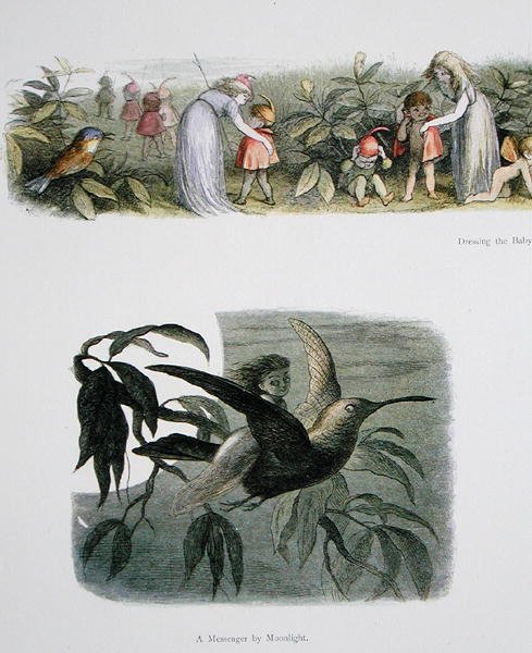 Dressing the Baby Elves, and A Messenger by Moonlight, illustrationer från In Fairyland: A Series of Pictures from the Elf-World av William Allingham och Andrew Lang (se även 222021) av Richard Doyle