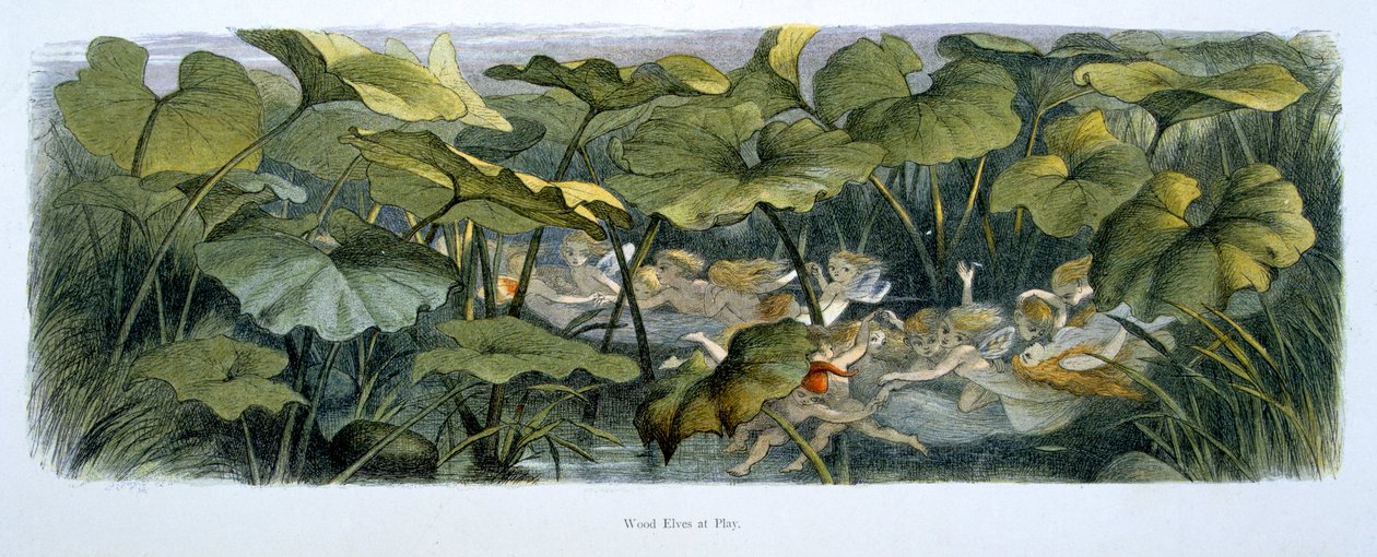 Wood Elves at Play, illustration från "In Fairyland: A Series of Pictures from the Elf-World" av Richard Doyle