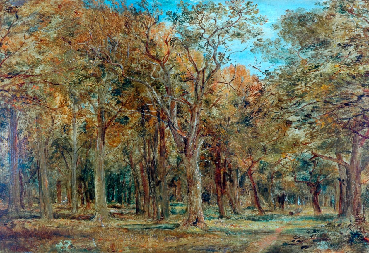Sherwoodskogen av Richard Sebastian Bond
