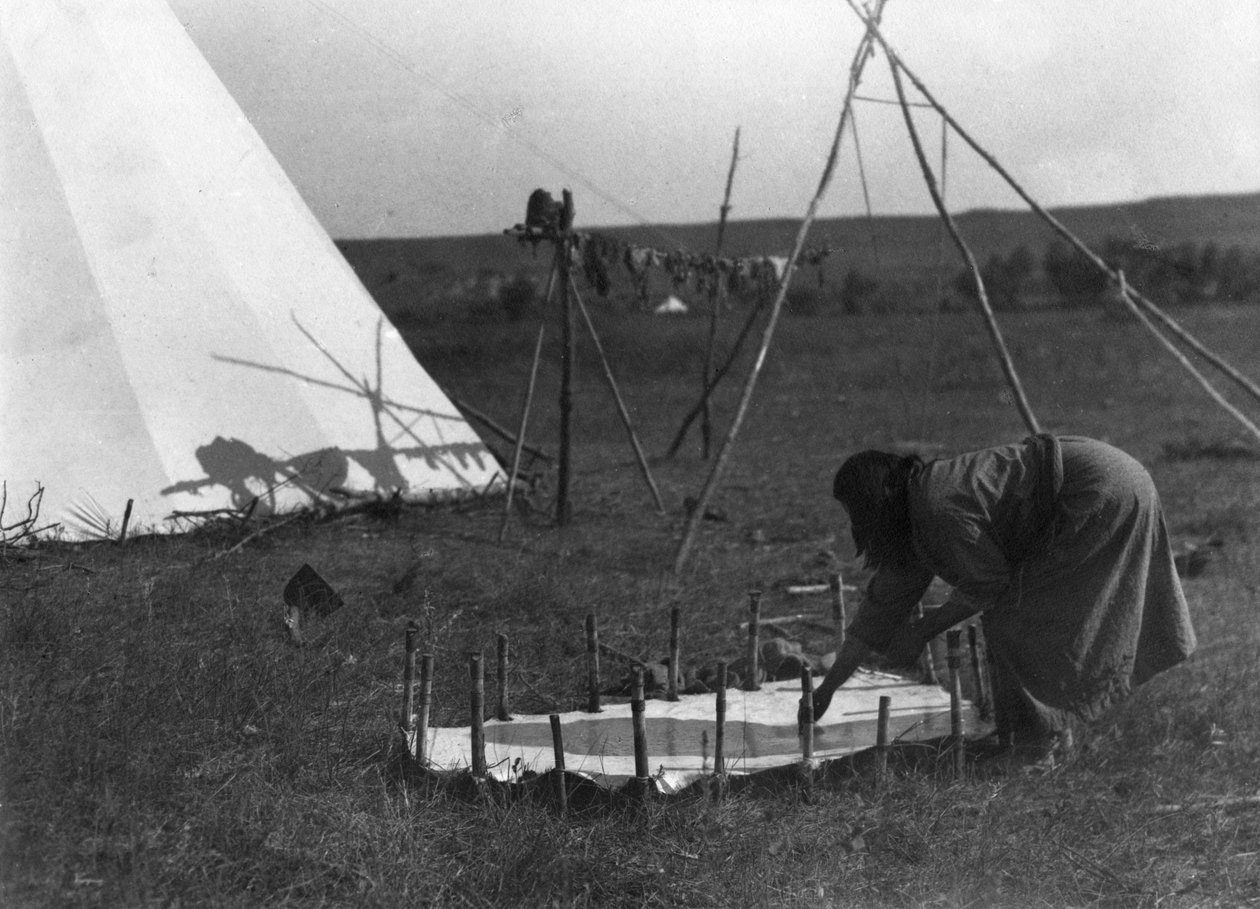 Skrapning av skinnet, ca 1902-11 av Richard Throssel