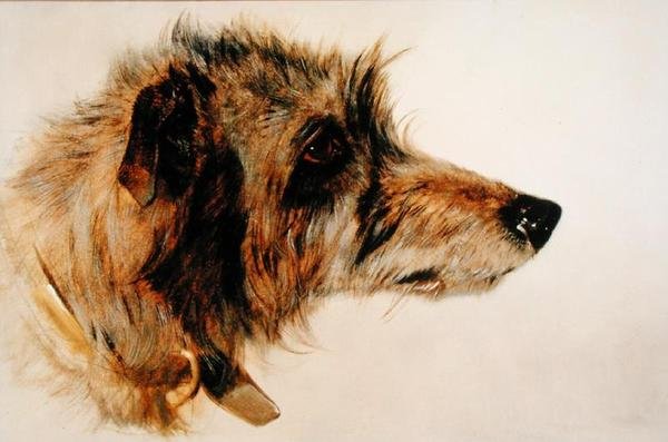 Huvud av en hund av Richard Ansdell