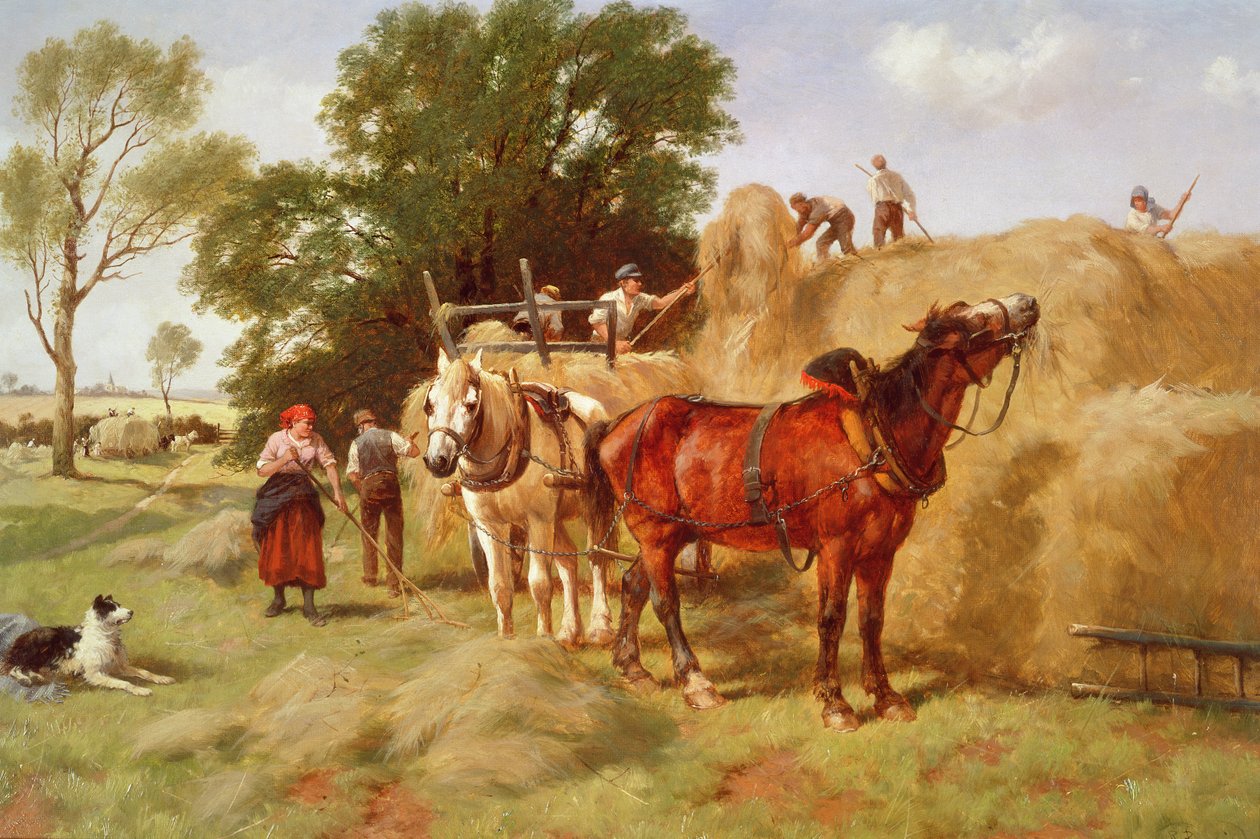Hömakarna av Richard Beavis