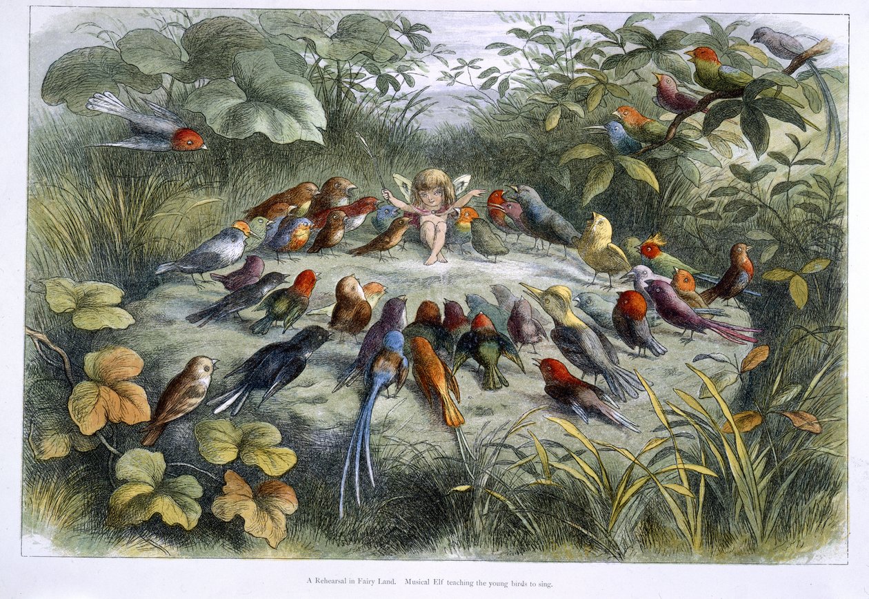 En tomte och fåglar av Richard Doyle