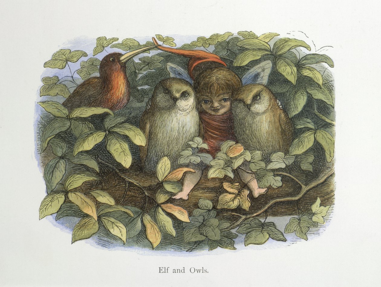 Tomte och ugglor av Richard Doyle