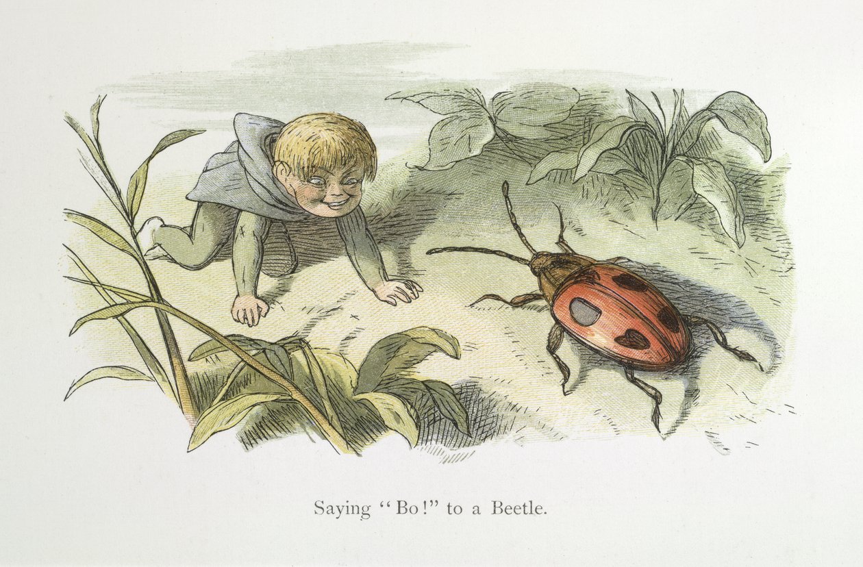 Säger nej! till en skalbagge av Richard Doyle
