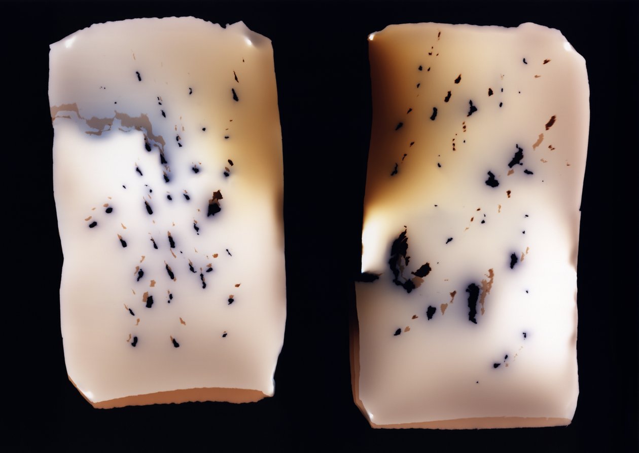 Utan titel (dubbelstudie), 2001 av Richard Green