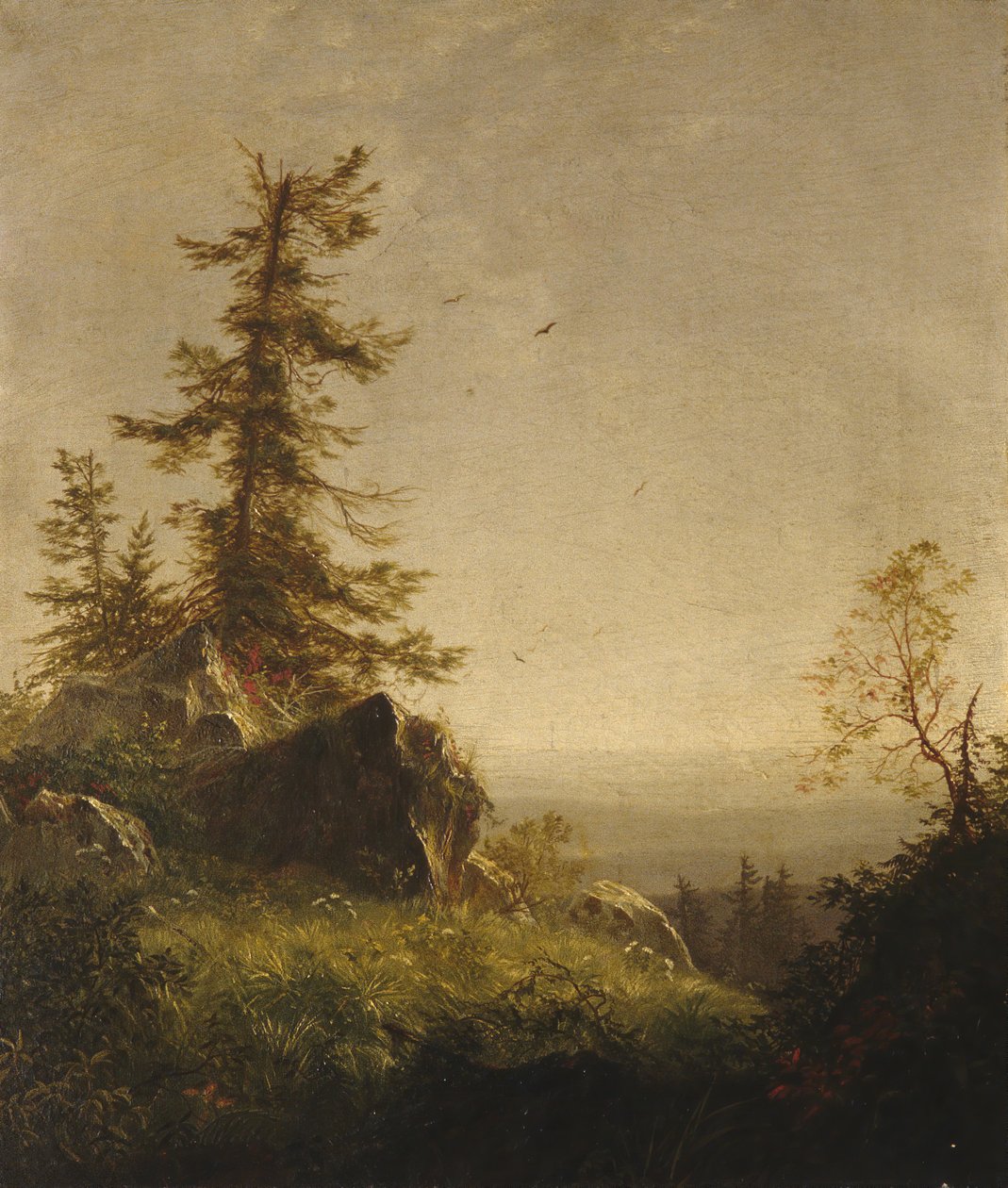 Morgon på berget, 1856. av Richard William Hubbard