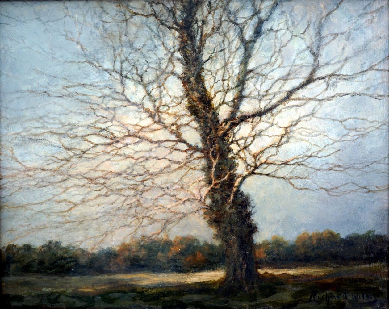 Solbelyst träd av Richard Willis