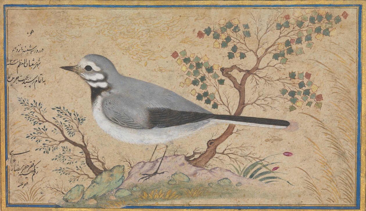 Study of a Bird, daterad A.H. 1043A.D. 1634. av Riza