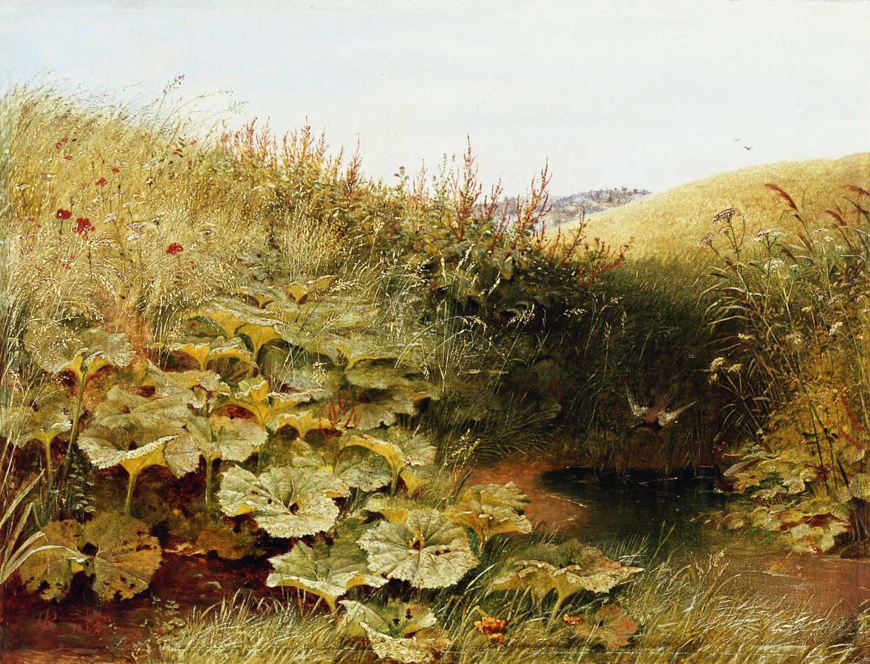 En tyst Dell av Robert Collinson