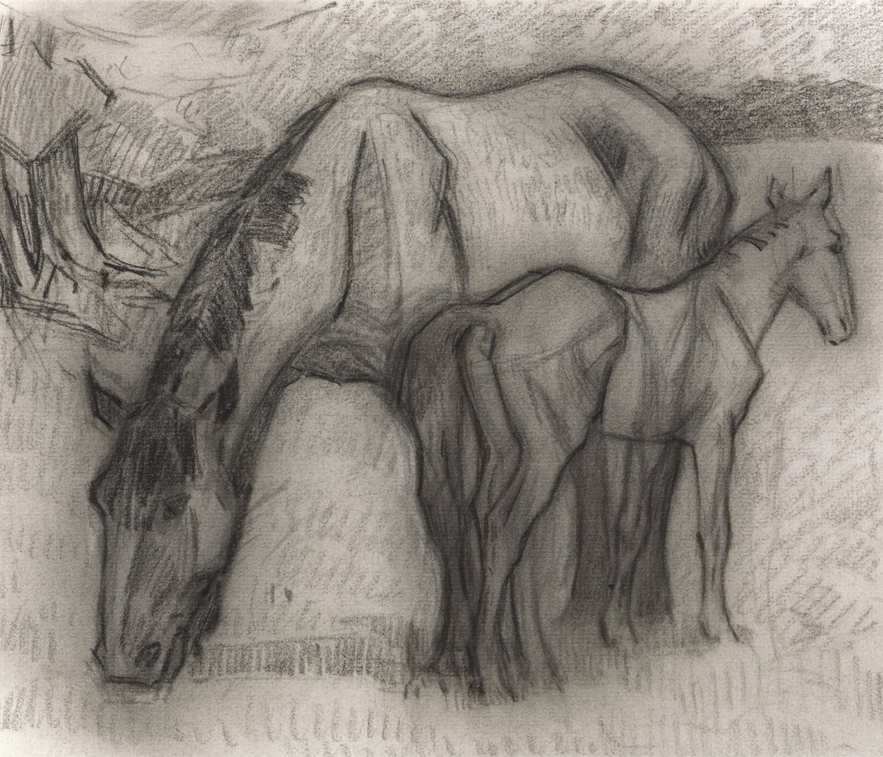 Studie för sto och föl, Lytchetts, Clayhidon, 1917 (svart krita på papper) av Robert Polhill Bevan