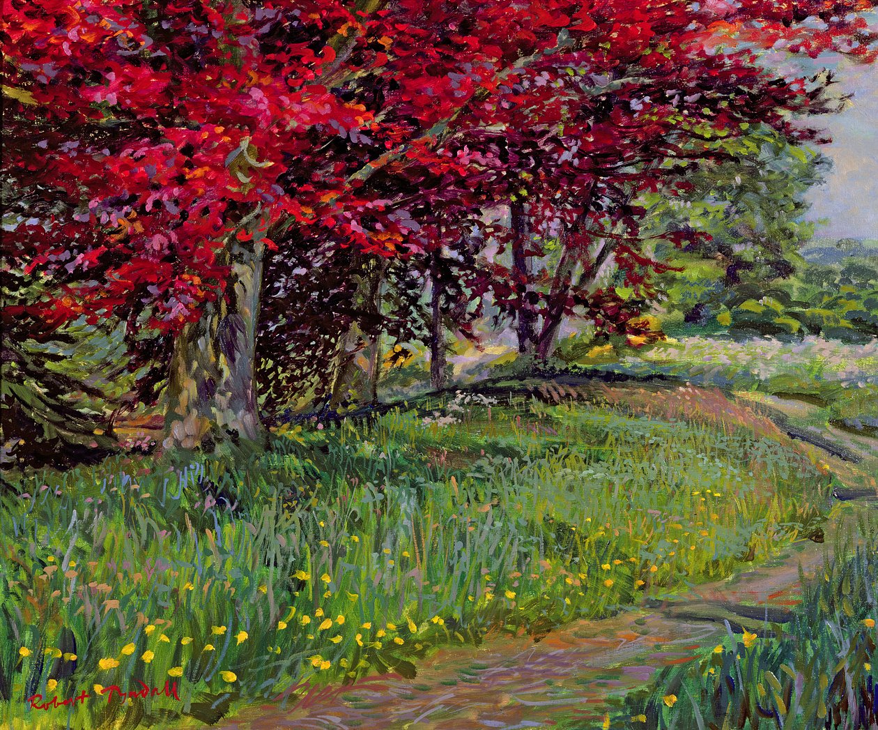 Kopparbokar, New Timber, Sussex av Robert Tyndall