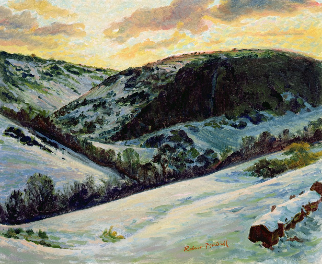 The Devils Dyke in Winter, 1996 av Robert Tyndall