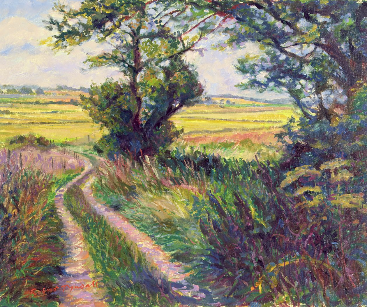 Spåret till Boleyns Farm, Kent av Robert Tyndall