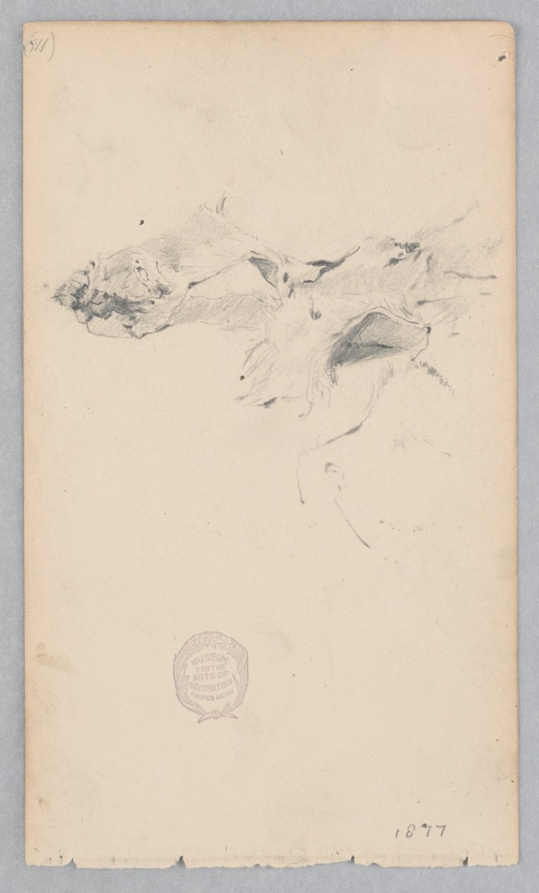 Tigerskinnsmatta av Robert Frederick Blum