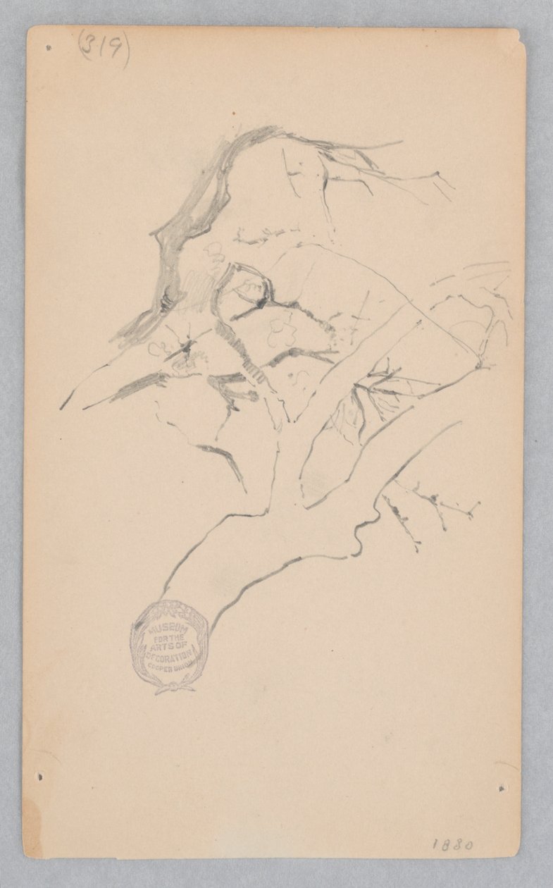 Trädgren av Robert Frederick Blum