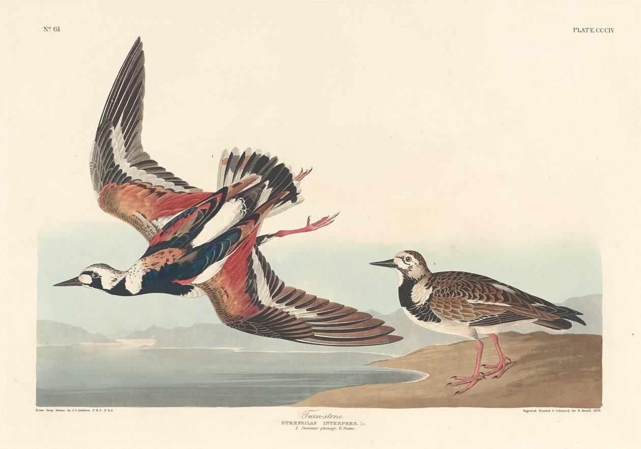 Vändsten, 1836. av Robert Havell