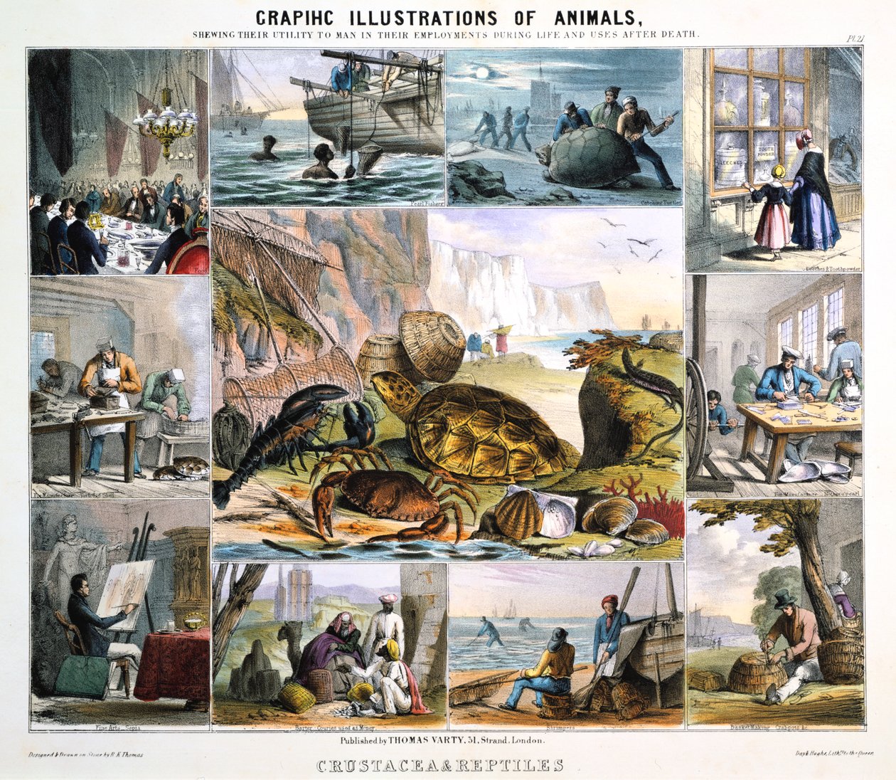Kräftdjur och reptiler, c1850 av Robert Kent Thomas