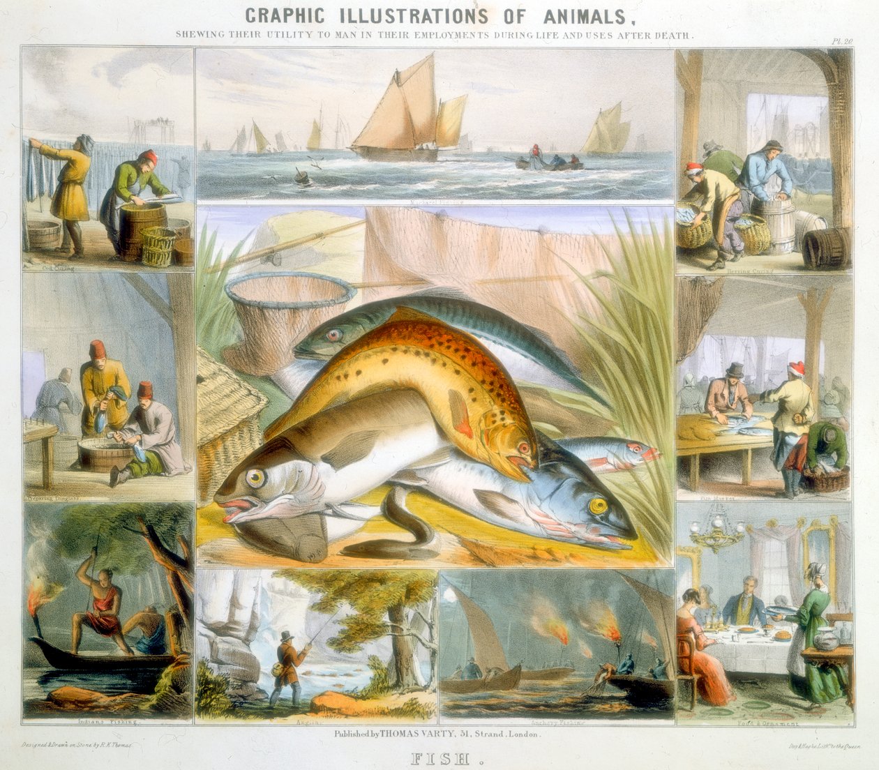 Fisk, c1850 av Robert Kent Thomas