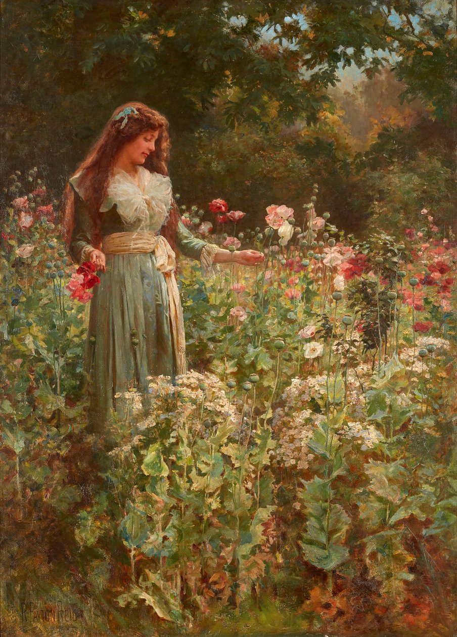 Samla vallmo (olja på duk) av Robert Payton Reid