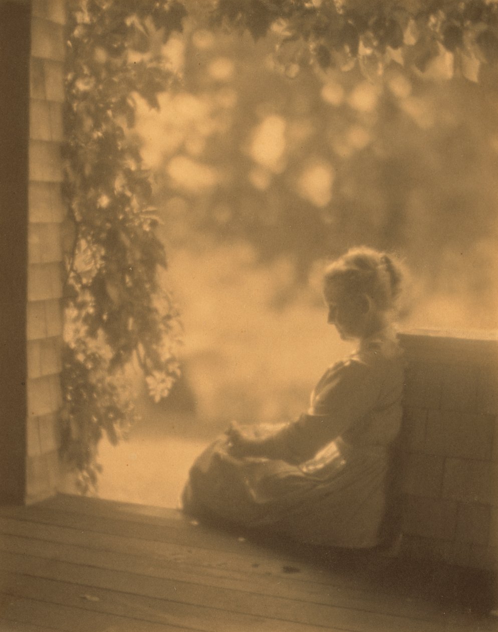 September Sun av Dwight A. Davis av Robert Peckham