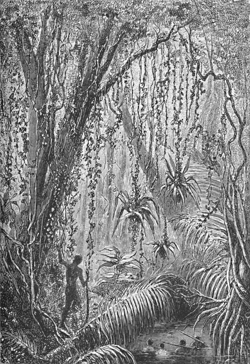 Brazilian Forest, c1885 1890 av Robert Taylor Pritchett