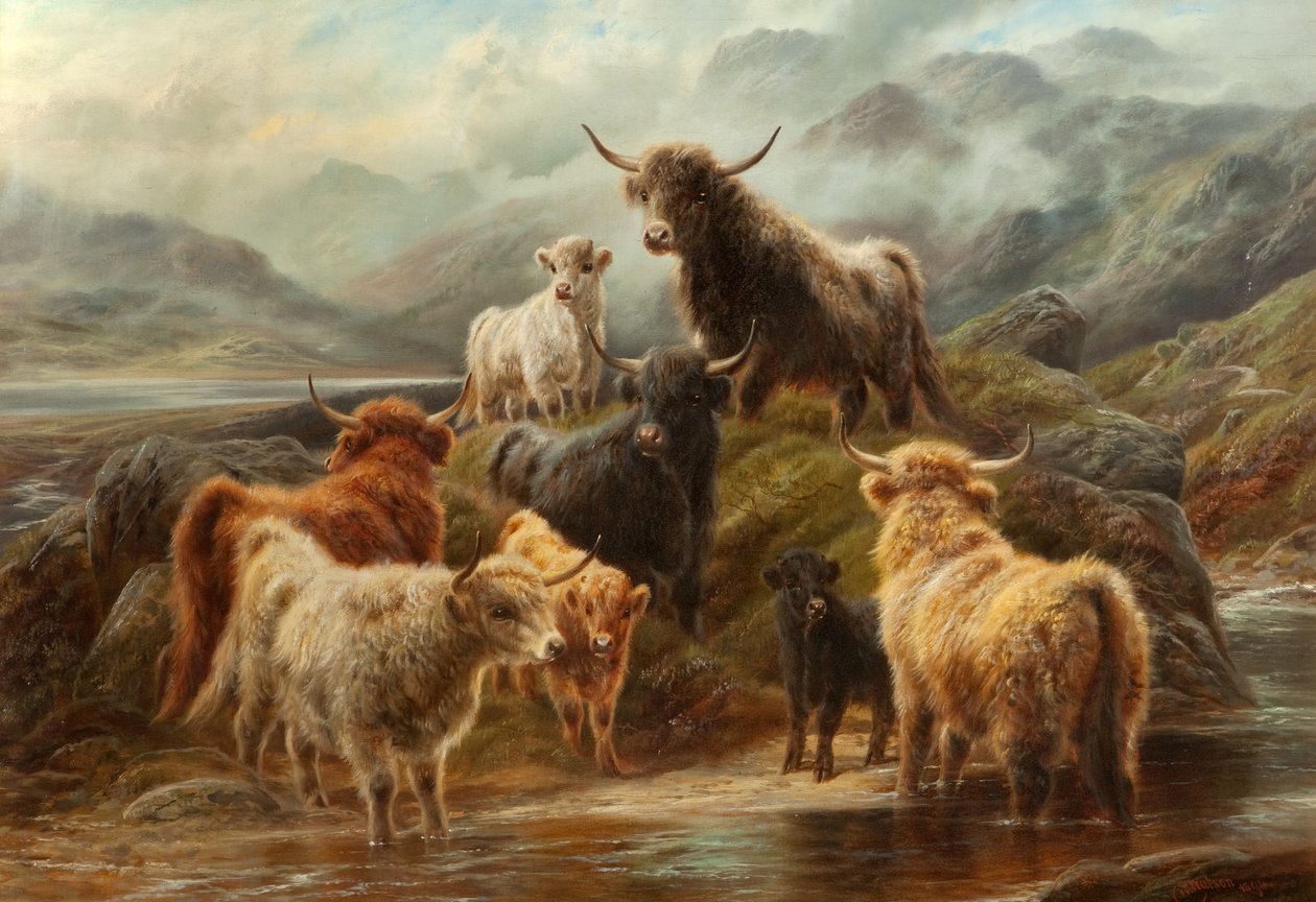 Highland Cattle, 1894 av Robert Watson