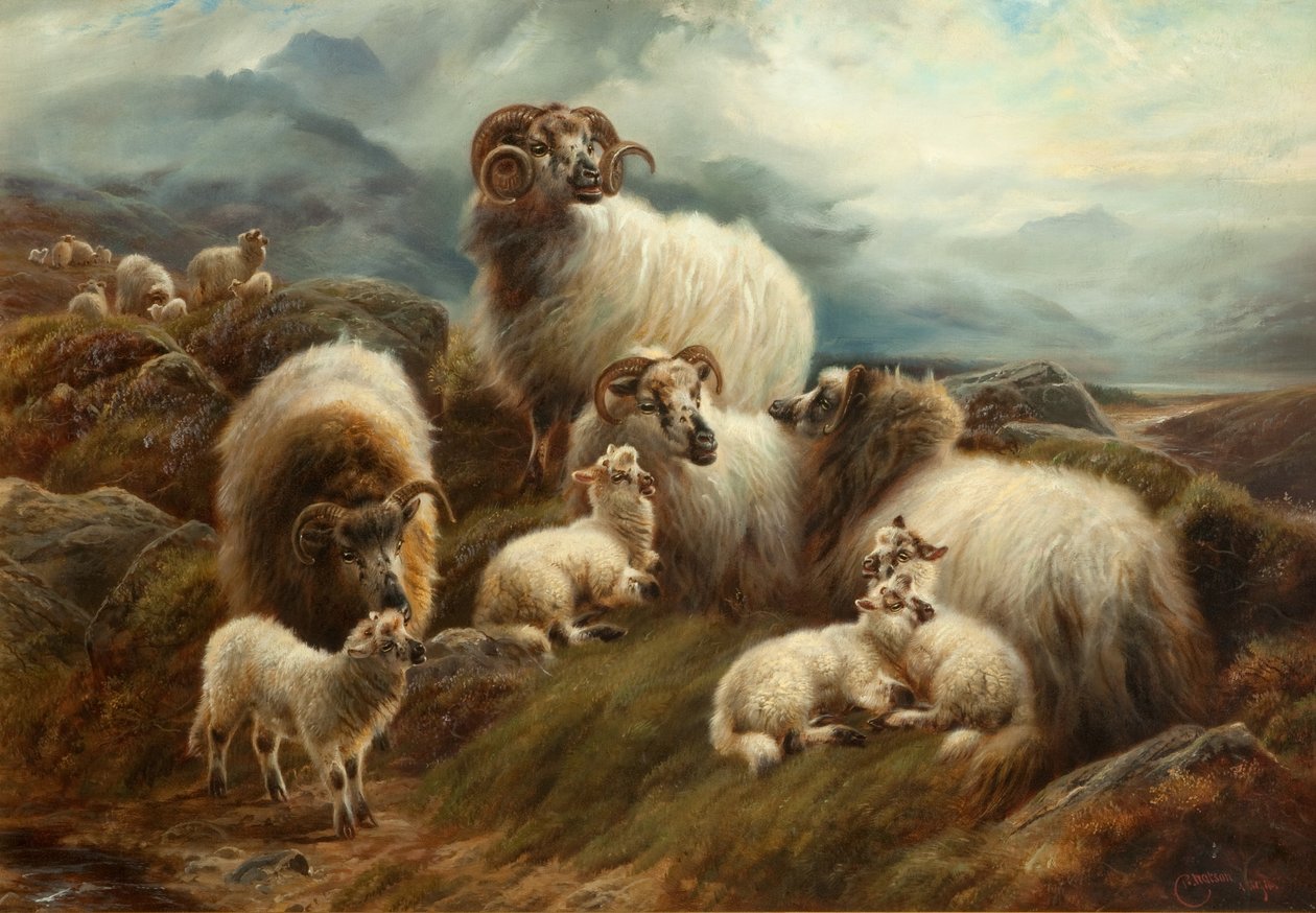 Får i ett landskap, 1894 av Robert Watson
