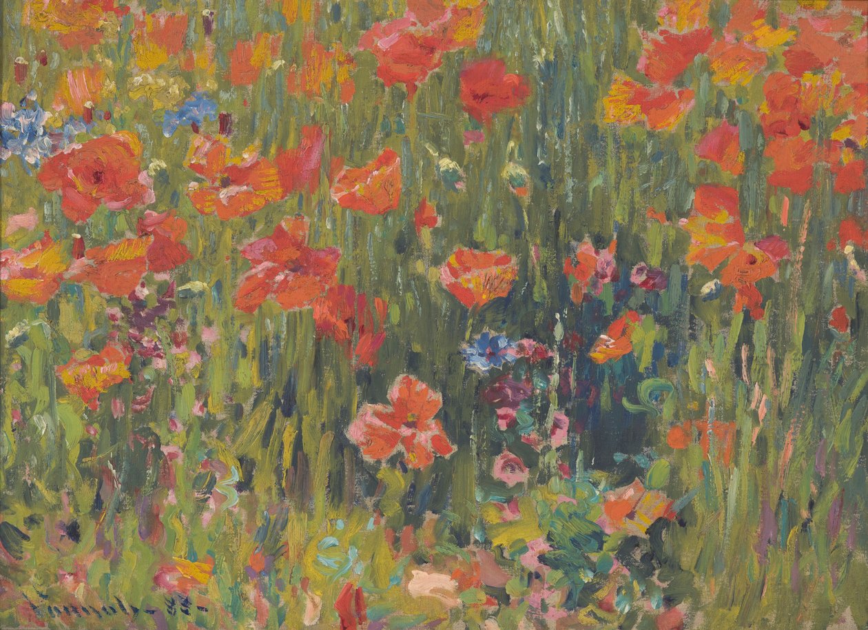 Vallmo av Robert William Vonnoh