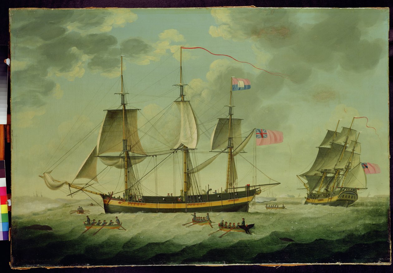 Valfångare i Arktis av Robert Willoughby