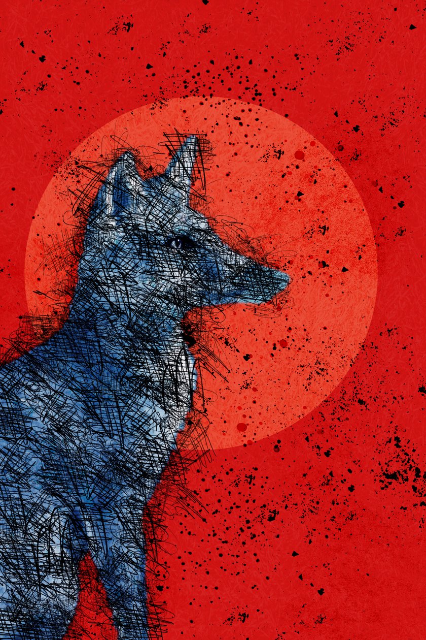 Blood Moon Fox, 2022 (digital) av Roberta Murray