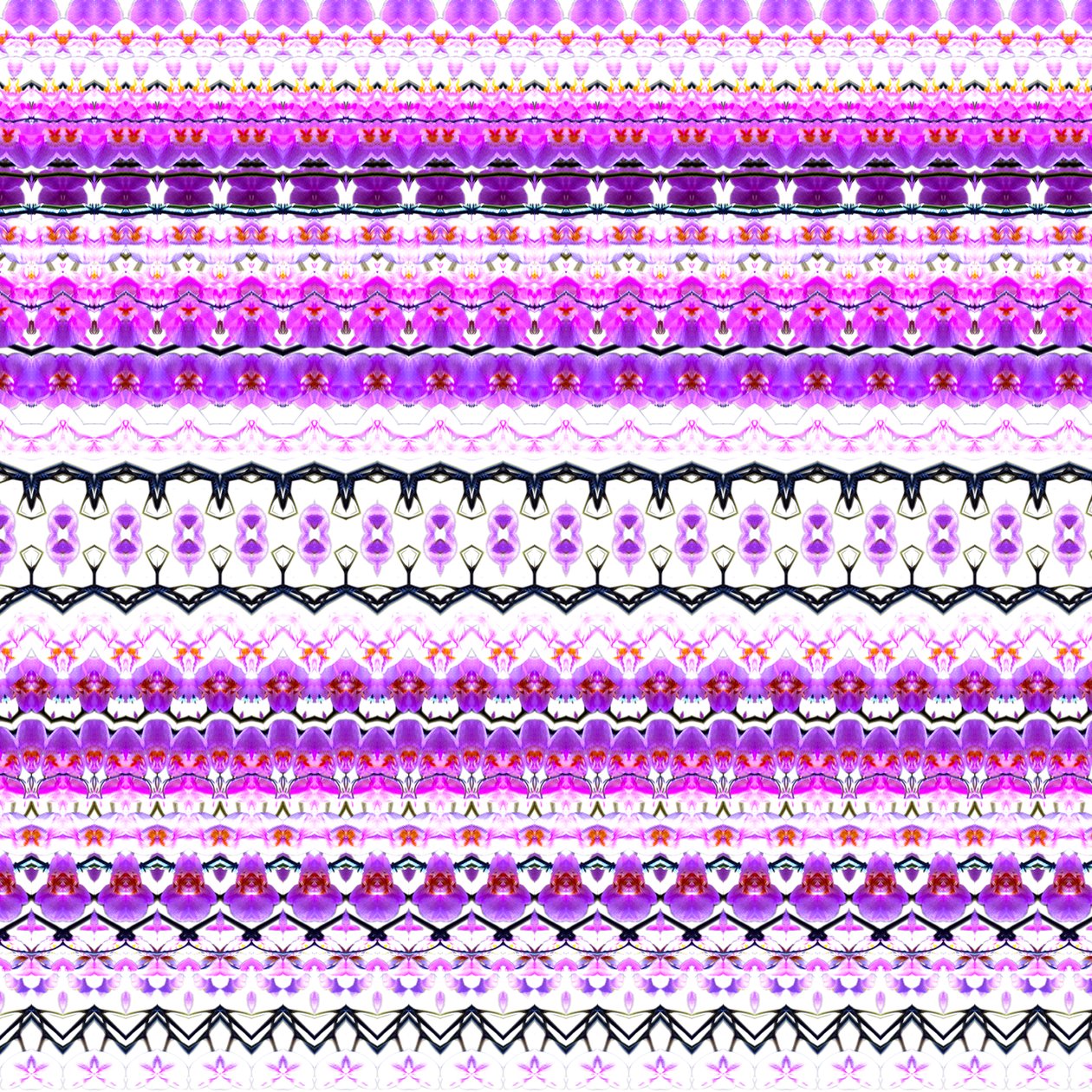 Orkidé Stripe av Robyn Parker