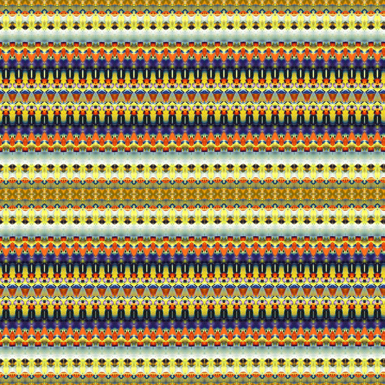Tribal Orange Stripe av Robyn Parker
