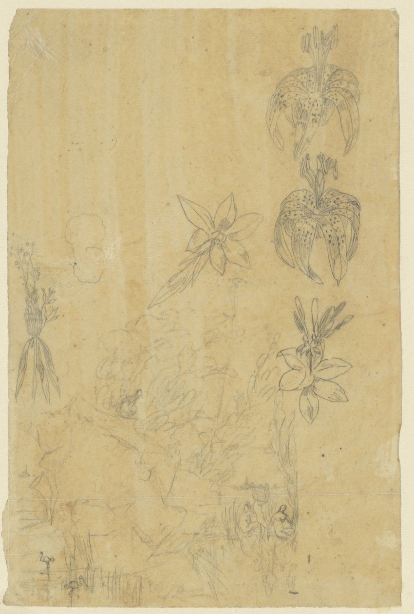 Blomsterstudier och badande kvinnor av Rodolphe Bresdin