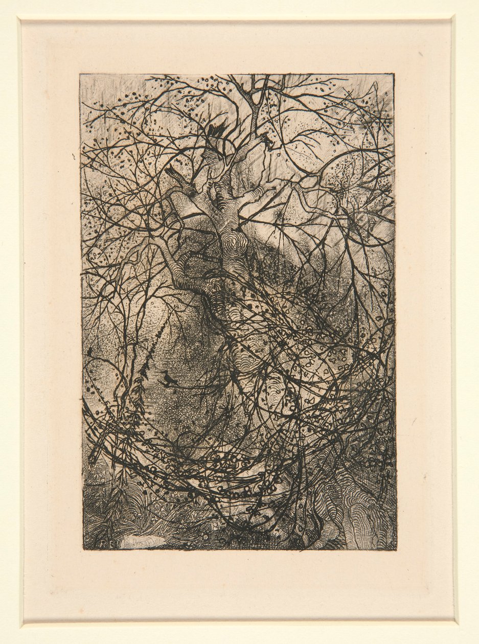 Grenar av Rodolphe Bresdin