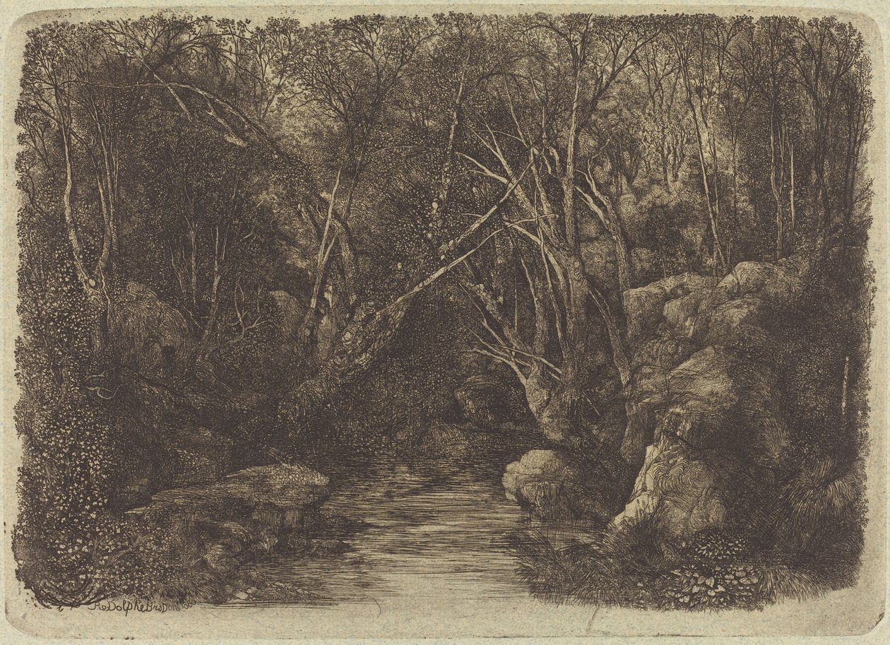 Bäcken i skogen av Rodolphe Bresdin