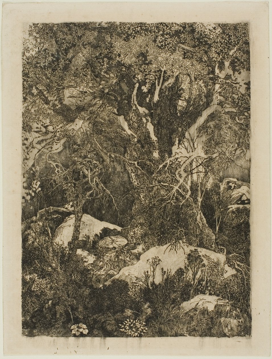 Skogen Fontainebleau av Rodolphe Bresdin