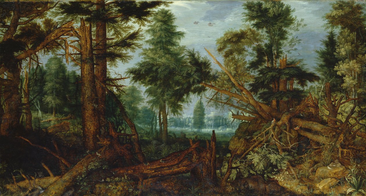Skogen efter stormen av Roelandt Jacobsz. Savery