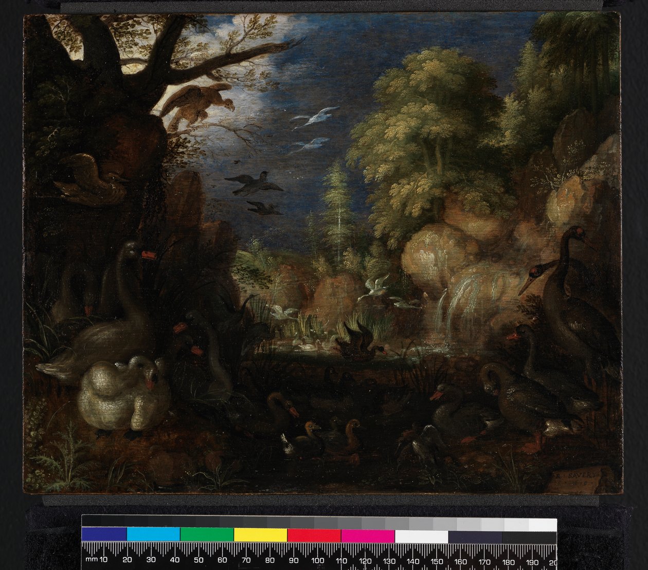 Fåglarnas skapelse, 1619 av Roelandt Jacobsz. Savery