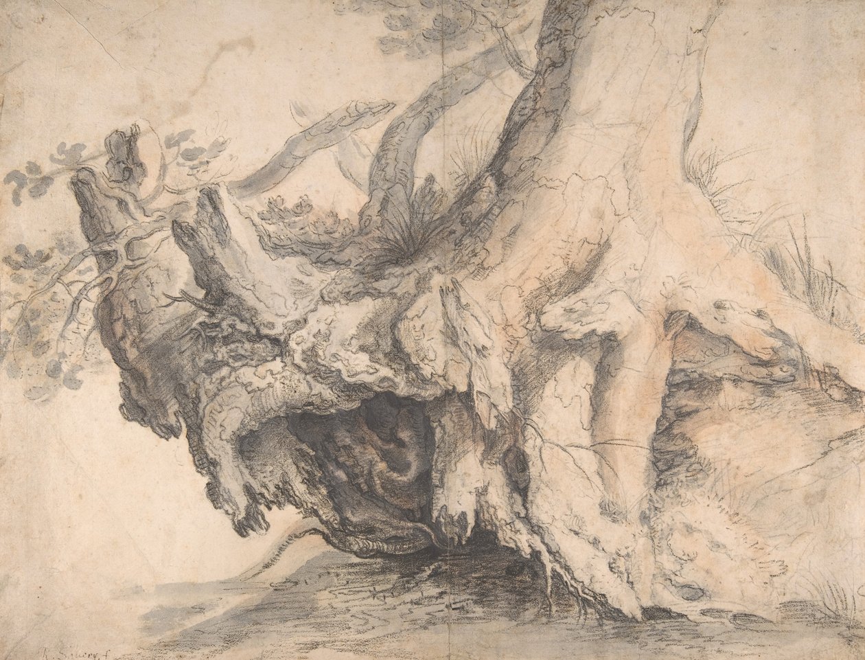 Studie av ett träd, ca. 1606-7. av Roelandt Savery