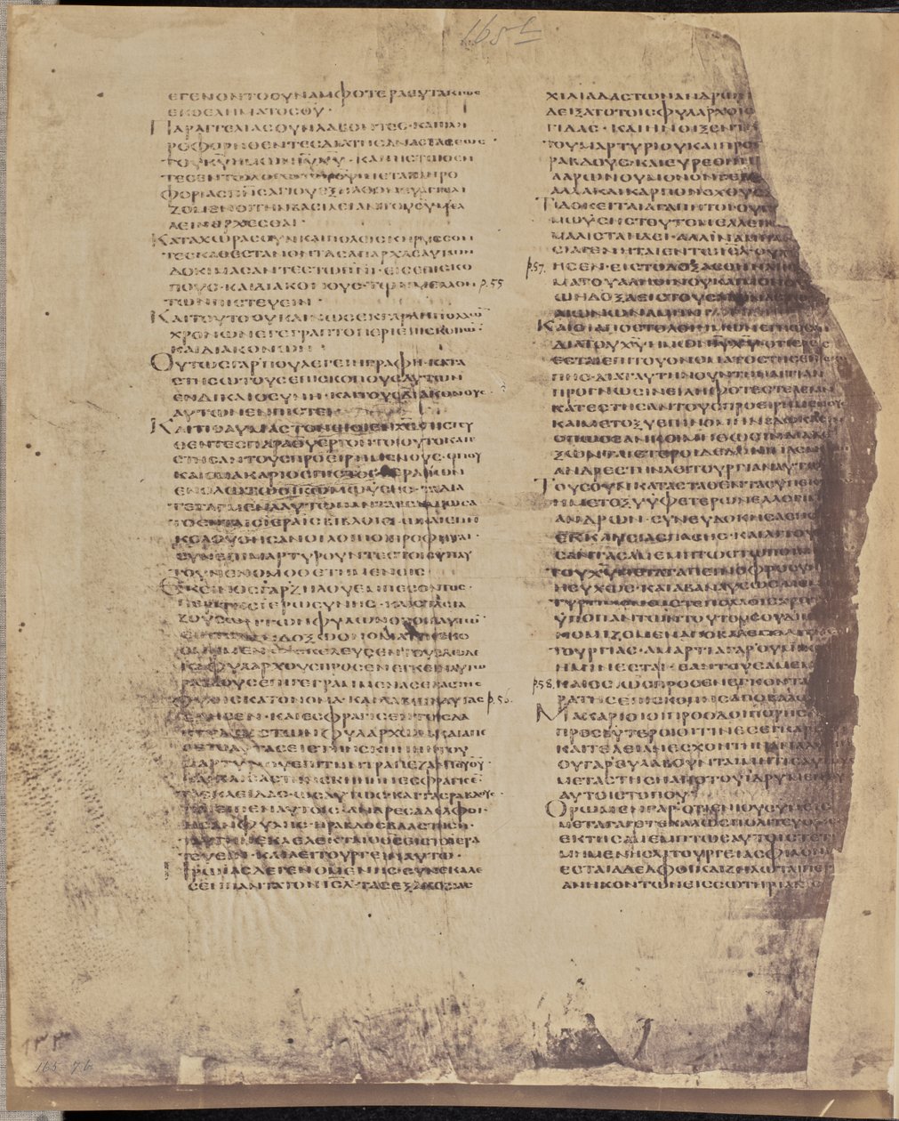 [Folio 165, baksidan]. av Roger Fenton