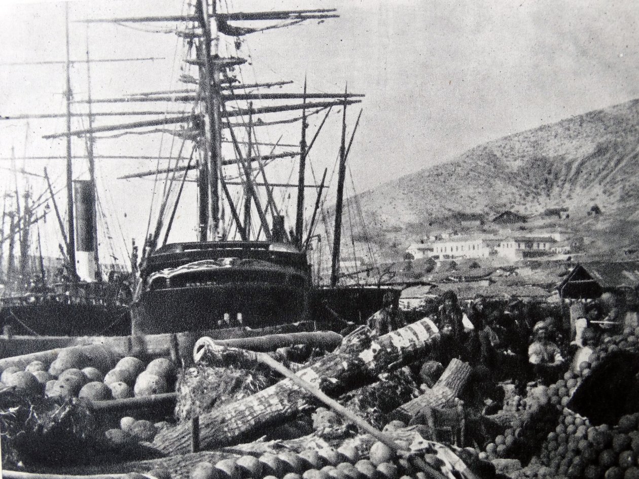 Ordnance Wharf, Balaclava av Roger Fenton